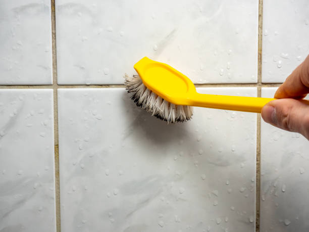 Best Mold Remediation for Schools in Dallesport, WA