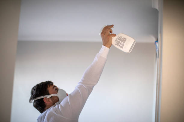 Best Localized Mold Remediation (e.g., coastal areas, humid climates) in Dallesport, WA