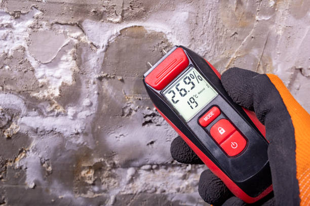 Best Commercial Mold Remediation in Dallesport, WA